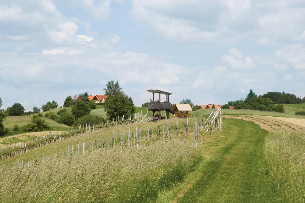Gaestehaus Dobida Unterlamm (Styria) Exterior foto